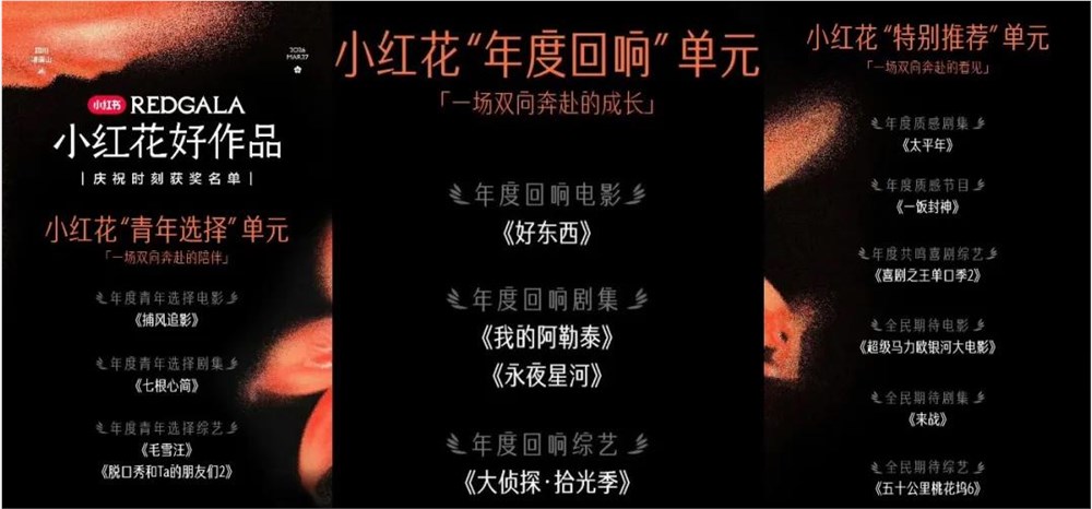 民选佳作，小红书用户正用口碑重构剧集价值坐标
