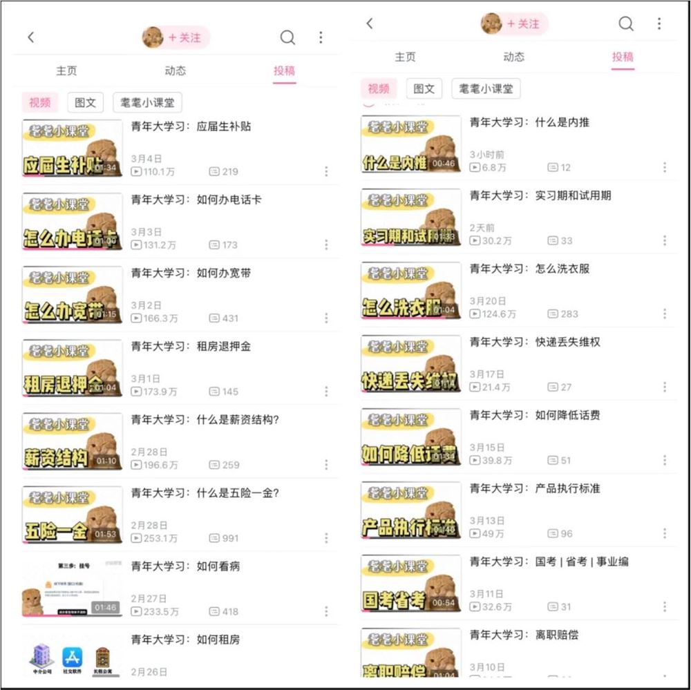 单月狂揽137万粉，B站杀出一匹“涨粉黑马”