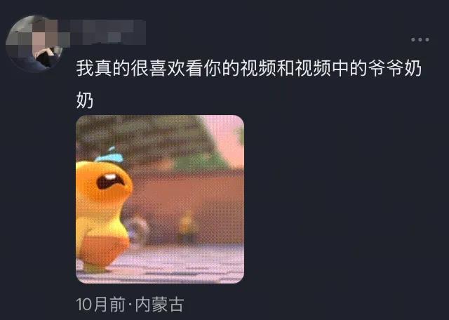 一年涨粉百万，专访留守老人的@大森子 火了?